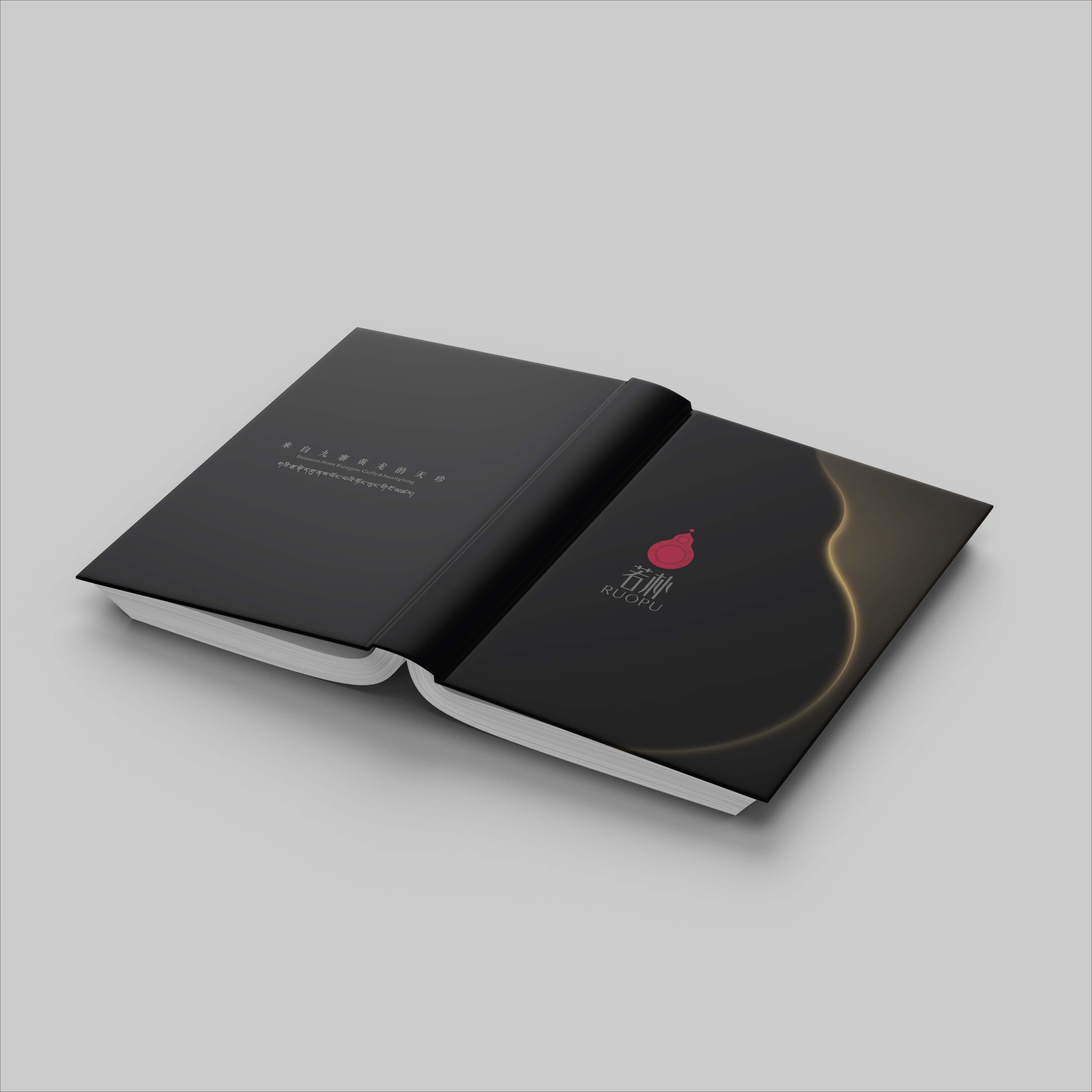 若樸電子畫冊設計